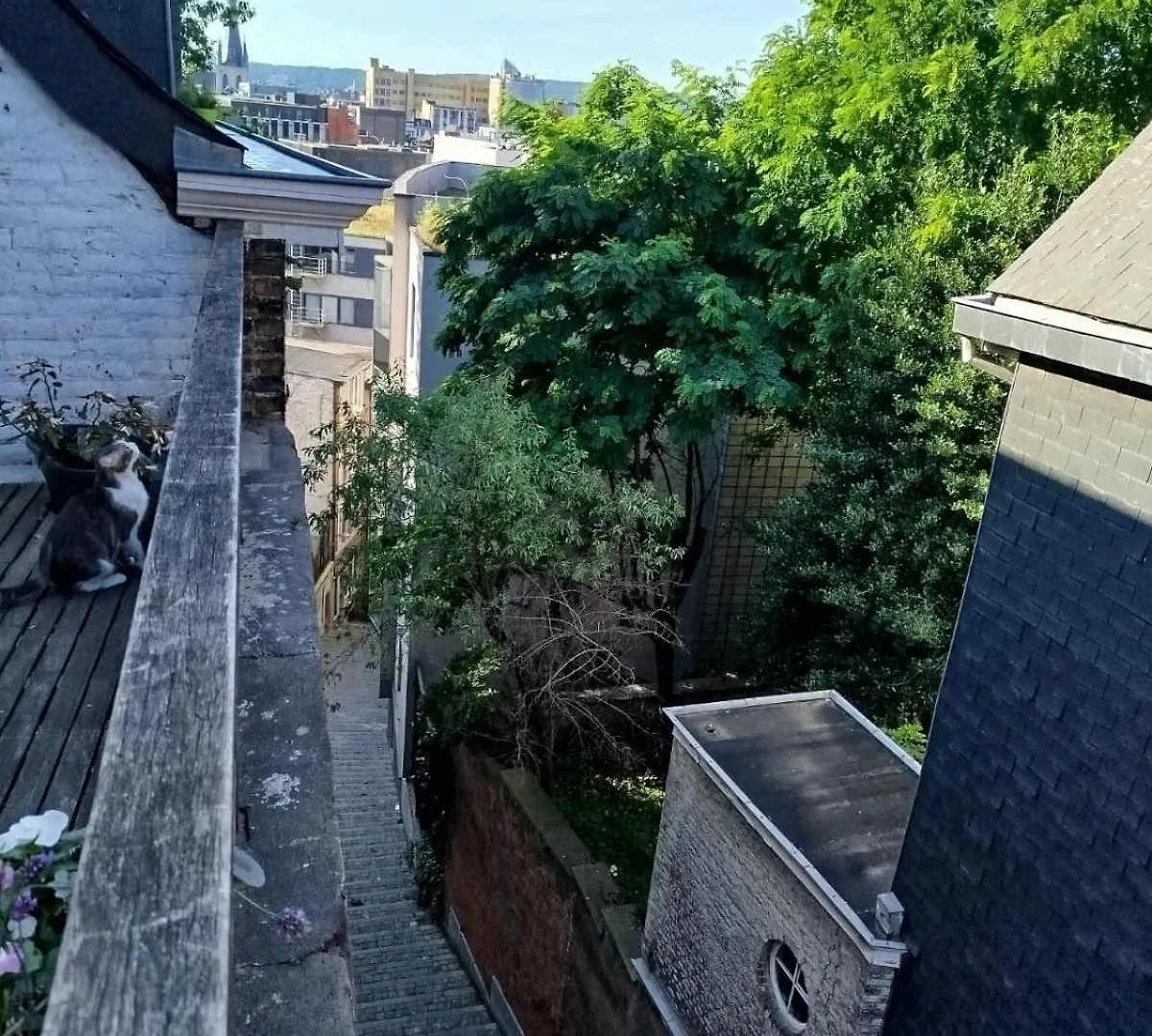 Appartement De Charme En Plein Coeur De Liège Apartamento